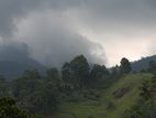 Beautiful Organic Tea Estate in The Misty Hills of Haputale for Sale