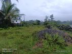 Beautiful Paddy Field Location Land for Sale in Godagama