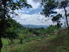 Beautiful View Land Herassagala