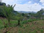 Beautiful View Land Herassagala