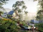 Beauty Nature Farming Villa for Sale in Rozella Ds Hatton