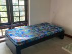 Bed and Mattress New