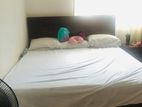 Bed King Size