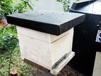 Bee Colonies with House