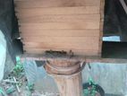 Bee Keeping Box with Colony