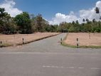 බෙලිඅත්ත හත්බෝධිය ලගින් ඉඩමක්