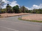 බෙලිඅත්ත නගරයේන් පදිංචියට හොදම ඉඩම