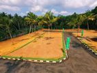 Beliatta aranwela Road land