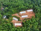 Beliatta Greenhouse company For Sale 15000 SQFT 2 Acre 2025
