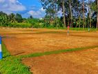 Beliatta Land for Sale