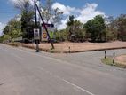 beliatta land
