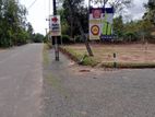 beliatta land