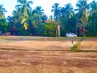 Beliatta Lands for Sale