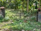 Beliattta– 146-Perch Land for Sale