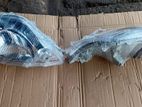 Belta Headlight