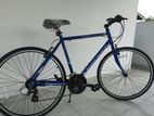 Bentini 700 Azzura Bicycle