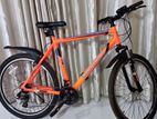 Bentini Branded Mountain Bike