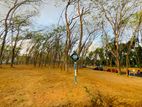 Beruketiya Land plots for sale