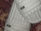 Cricket Pad Set