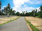 Best Elegance Land for Sale in Welipenna