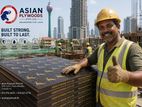 Best Film Faced Coated Plywood Boards Available in Sri Lanka 8' x 4'
