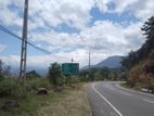 Land for Sale - Haldummulla