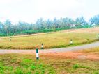 Best investment Land for Sale in Nawagamuwa 🏡️