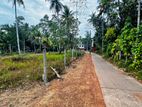 Best Land for Living Located only 800m from Kandy Road in Kalagedihena