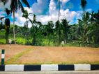 Best Land For Sale at Nittambuwa