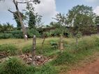 Best Land for Sale Boralasgamuwa