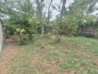Best Land for Sale Boralasgamuwa
