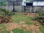 Best Land For Sale Delgoda