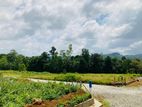 Best Land for Sale Eheliyagoda Town