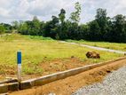 Best land for sale Eheliyagoda town