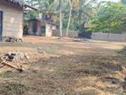 Land for Sale Padagoda