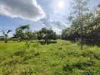 Best Land for Sale Buttala