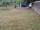 Best Land for Sale Homagema