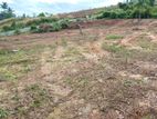 Best land for sale in Avissawella