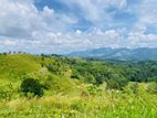 Best land for sale in doluwa