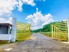 Best Land for Sale in Eheliyagoda