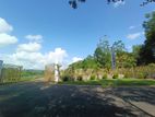 Best Land For Sale in Eheliyagoda