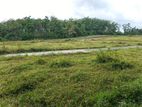 Best Land for Sale in Eheliyagoda Town
