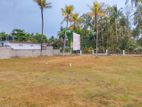 Best Land For Sale in Giriulla