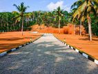 Best land for sale in horana galpatha