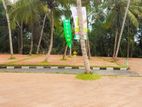 Best Land For Sale in Kadawatha - Kosinna