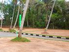 Best land for sale in kadawatha kosinna