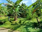 Best land for sale in Kadawatha Ragama road