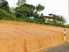 Best Land For Sale In Nagoda