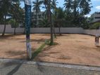 Best Land for Sale in Negombo