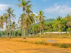 Best Land for Sale in Padukka Udumulla